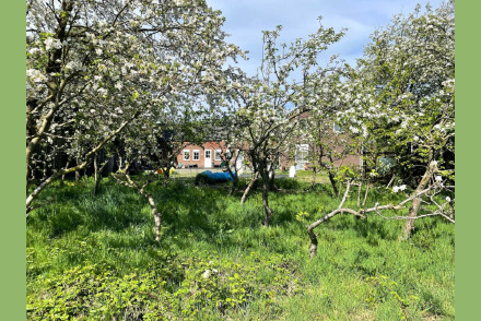 Vakantieappartement in Nationaal Park Maasduinen HW362